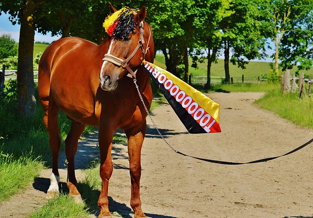 马特乌斯：拜仁失败引援居多，埃贝尔不要忘了今夏多次遭拒
